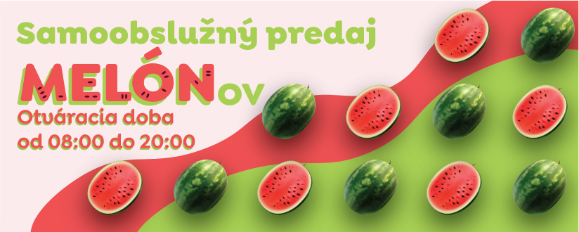 Visegrad